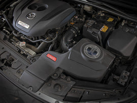 56-70045R_LS1.jpg