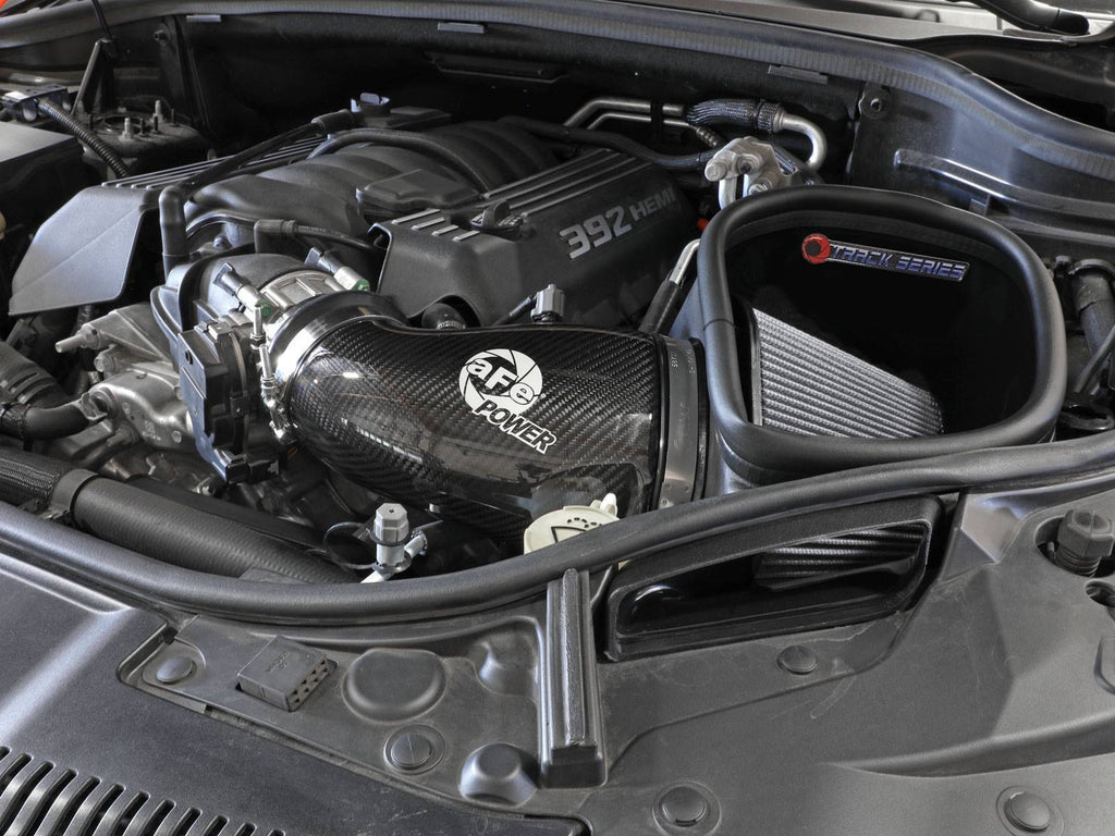 57-10014D_LS1.jpg