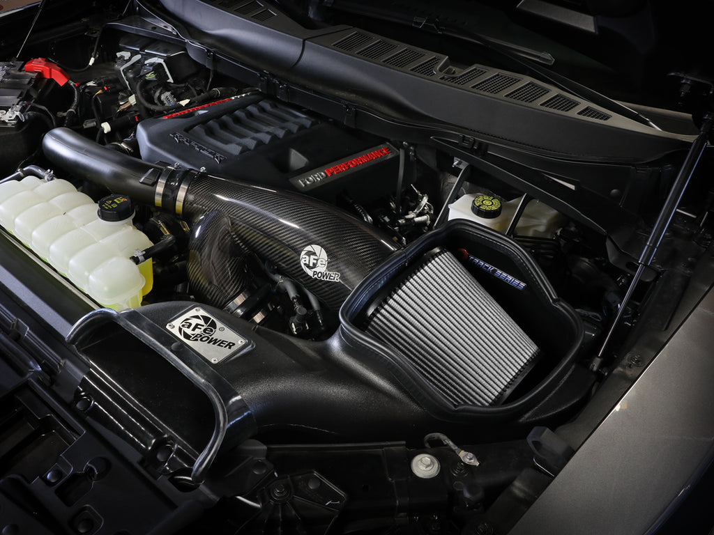 57-10031D_LS1.jpg