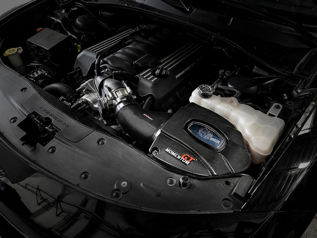 58-10003R_LS1.jpg