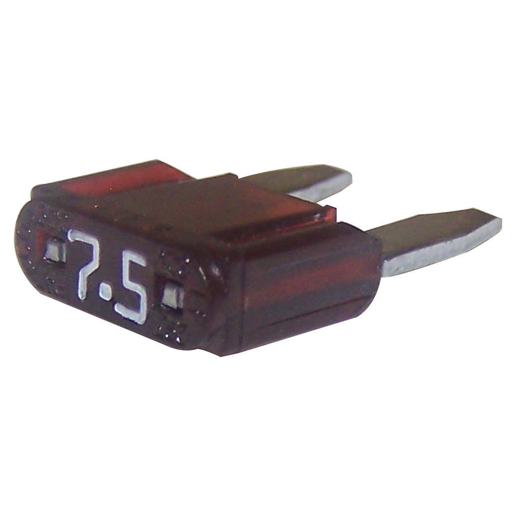 6101485.jpg