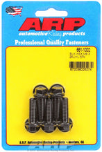 Load image into Gallery viewer, ARP 661-1002 M8 X 1.25 X 25 HEX BLK