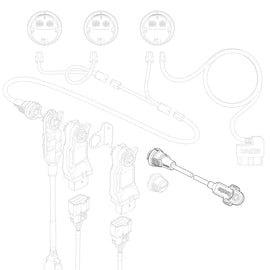 66420_illo.jpg