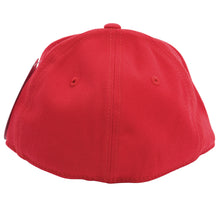 Load image into Gallery viewer, 009158_v4.jpg