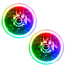 7081-334.jpg