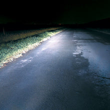 Load image into Gallery viewer, 70821_12.jpg