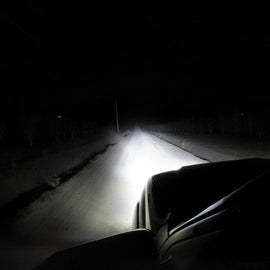 7606_12.jpg