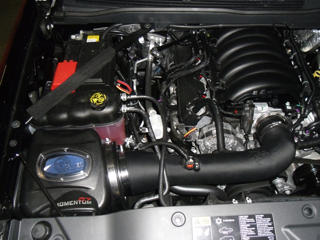 77-34005-PK_LS1.jpg