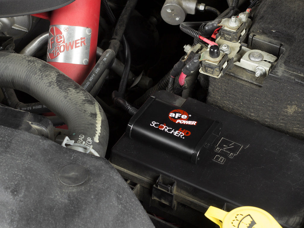 77-42012_LS1.jpg