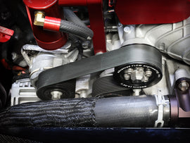 79-10005P_LS1.jpg