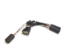 Load image into Gallery viewer, 810022_2.jpg