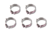 Earl's Performance 818406ERL -6 SUPER STOCK CLAMP (PACK OF 5)