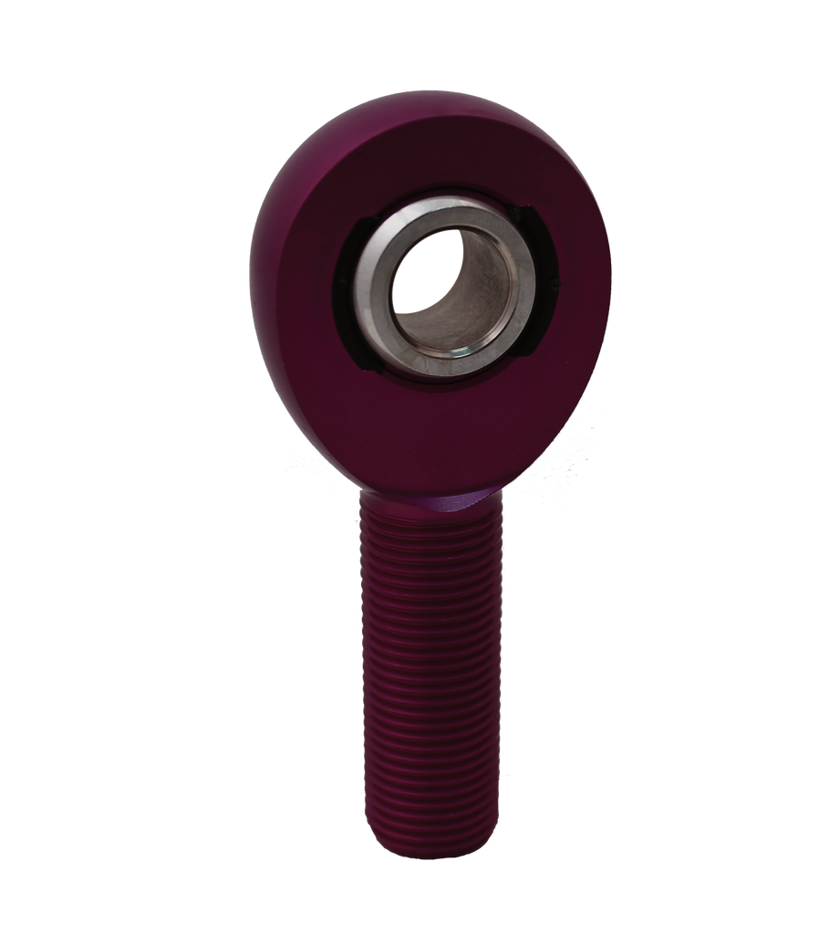AM-Purple.png