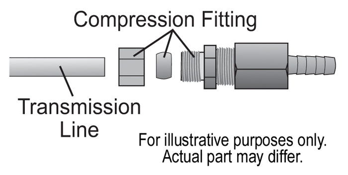 13033-Illustration.jpg