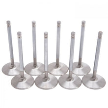 Load image into Gallery viewer, 009371_v1.jpg