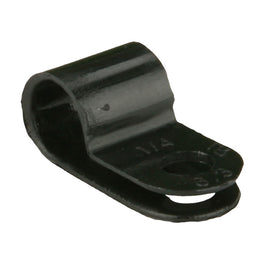BCC38_v1_20100323.jpg