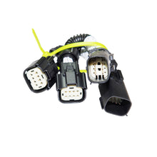 Load image into Gallery viewer, CAS-104322-1.jpg