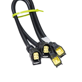 CAS-105067-2.jpg
