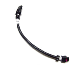 CAS-109264-2.jpg