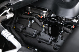 CC0004_b_lowres.jpg