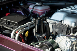 CC0006_b_lowres.jpg