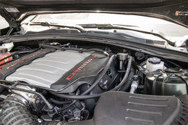 CC0007_b_lowres.jpg