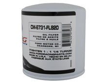 Load image into Gallery viewer, CM-6731-FL820.jpg