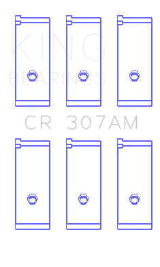 CR_307AM.png