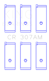 CR_307AM.png