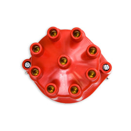 D100701-CAP.jpg