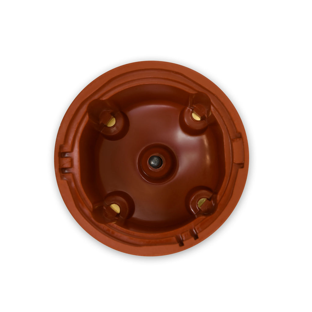 D7182604-Cap-Bottom.jpg