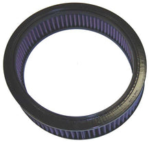 Load image into Gallery viewer, K&amp;N E-1290 Replacement Air Filter