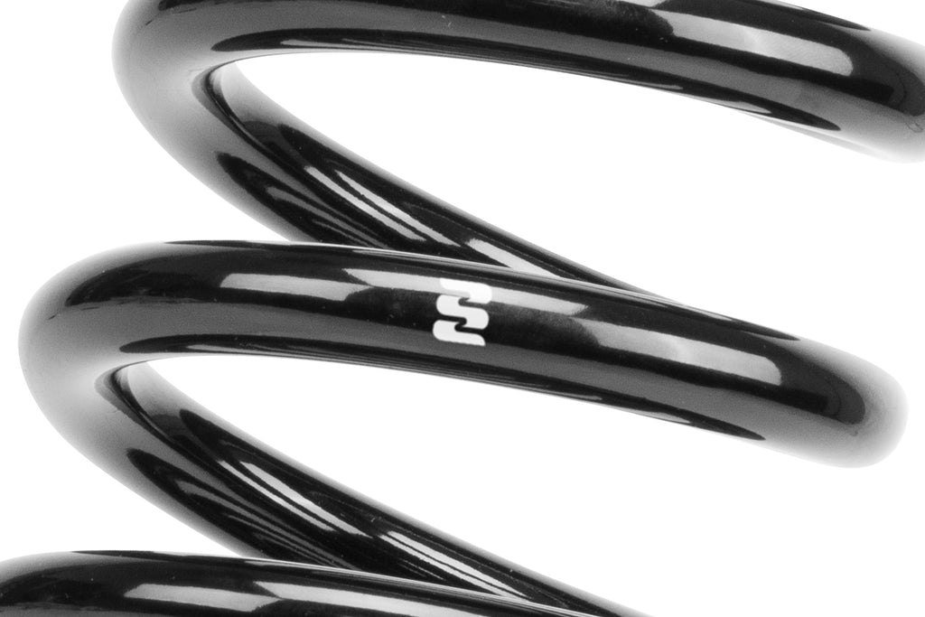 ERL-Black-Spring.jpg