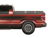 Load image into Gallery viewer, EX_SF2_14F150_MAIN.jpg