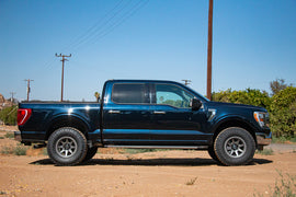 F150_Blue4_WEBLARGE.jpg