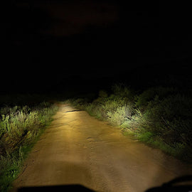 FGXX_507108-IMG_002_P05_ANG_A.jpg