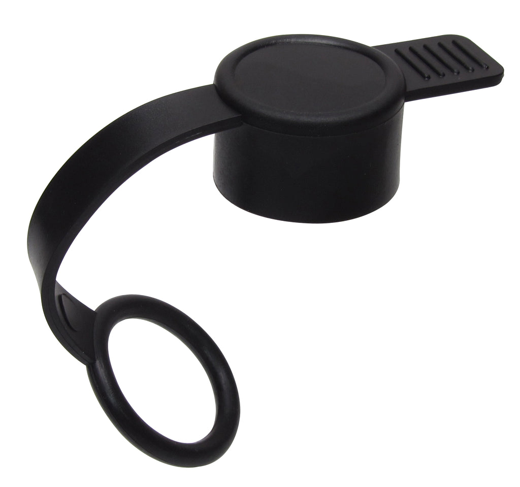 FR1002BT_CAP_FOR_LITTLE_SWITCH_001.JPG