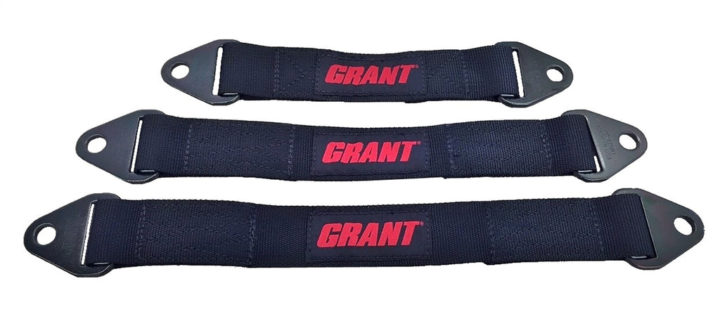 Grant_Limit_Straps.jpg