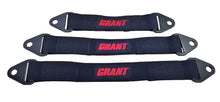 Load image into Gallery viewer, Grant_Limit_Straps.jpg