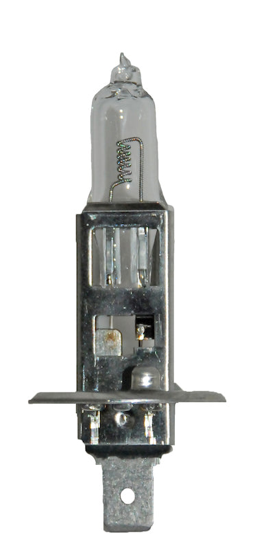 H1 24V DP.MAIN.jpg