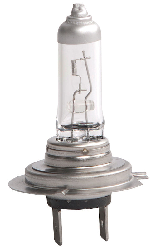 H7 24V DP.MAIN.jpg