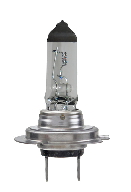 H7 24V LL.MAIN.jpg