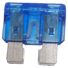 Load image into Gallery viewer, J3231216.jpg