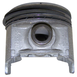 J4487564.jpg