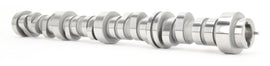 LT1 Lead Image - single1.jpg