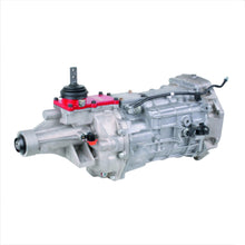 Load image into Gallery viewer, M-7003-M6295.jpg