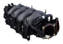 Load image into Gallery viewer, M-9424-M50D.jpg