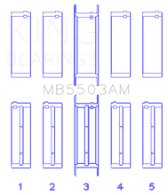 Load image into Gallery viewer, MB5503AM.png
