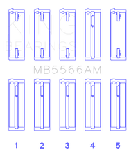 Load image into Gallery viewer, MB5566AM.png