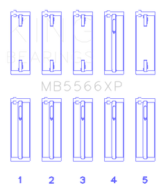 MB5566XP.png